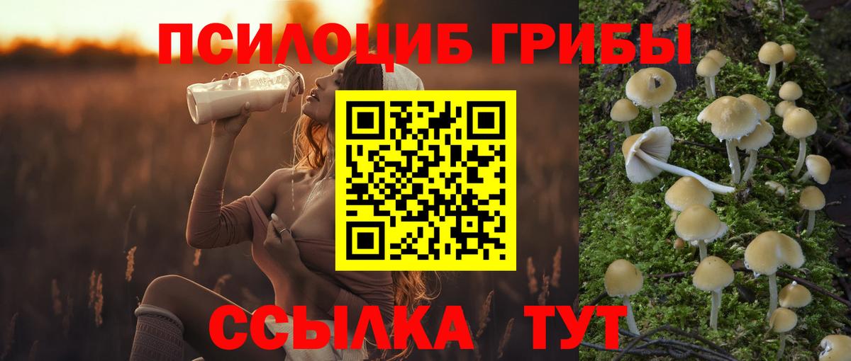 Псилоцибиновые грибы мухоморы  Галлюциногенные грибы Cubensis  Вход с VPN  Заводоуковск 